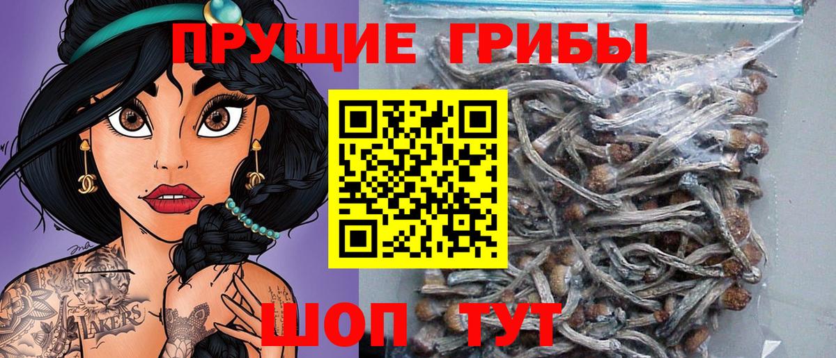 Псилоцибиновые грибы ЛСД  Вход с VPN  Александров 